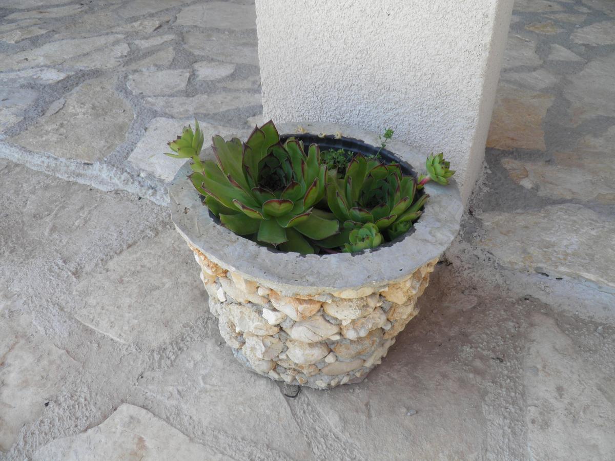Agroturizam Duvancic - Konoba Dida Marka 4* Drniš