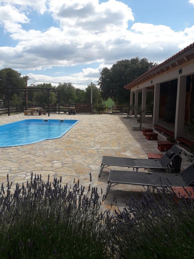 Couette-café Agroturizam Duvancic - Konoba Dida Marka Drniš